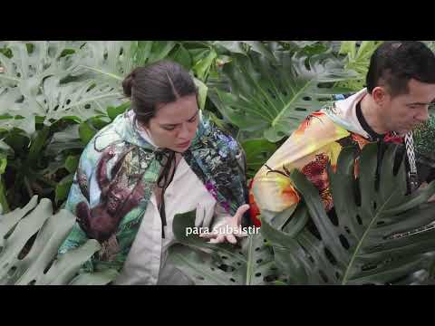 GROUP DREAMERS - LET'S SAVE THE PLANET (SALVEMOS EL PLANETA) - Official Video