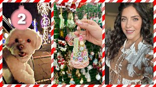 VLOGMAS 2024 ❄ Day 2 | Holly's 1st Drive-thru Christmas Light Show & World Market Finds