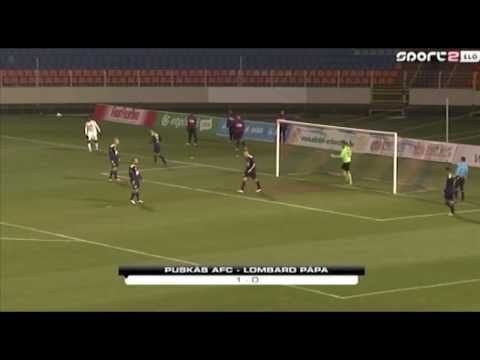 30.11.2013 Puskás Akadémia FC - Lombard Pápa Termál FC 1-0