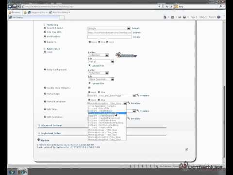 Using Skins and Containers