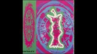ned's atomic dustbin - Nad v. Ndx intact