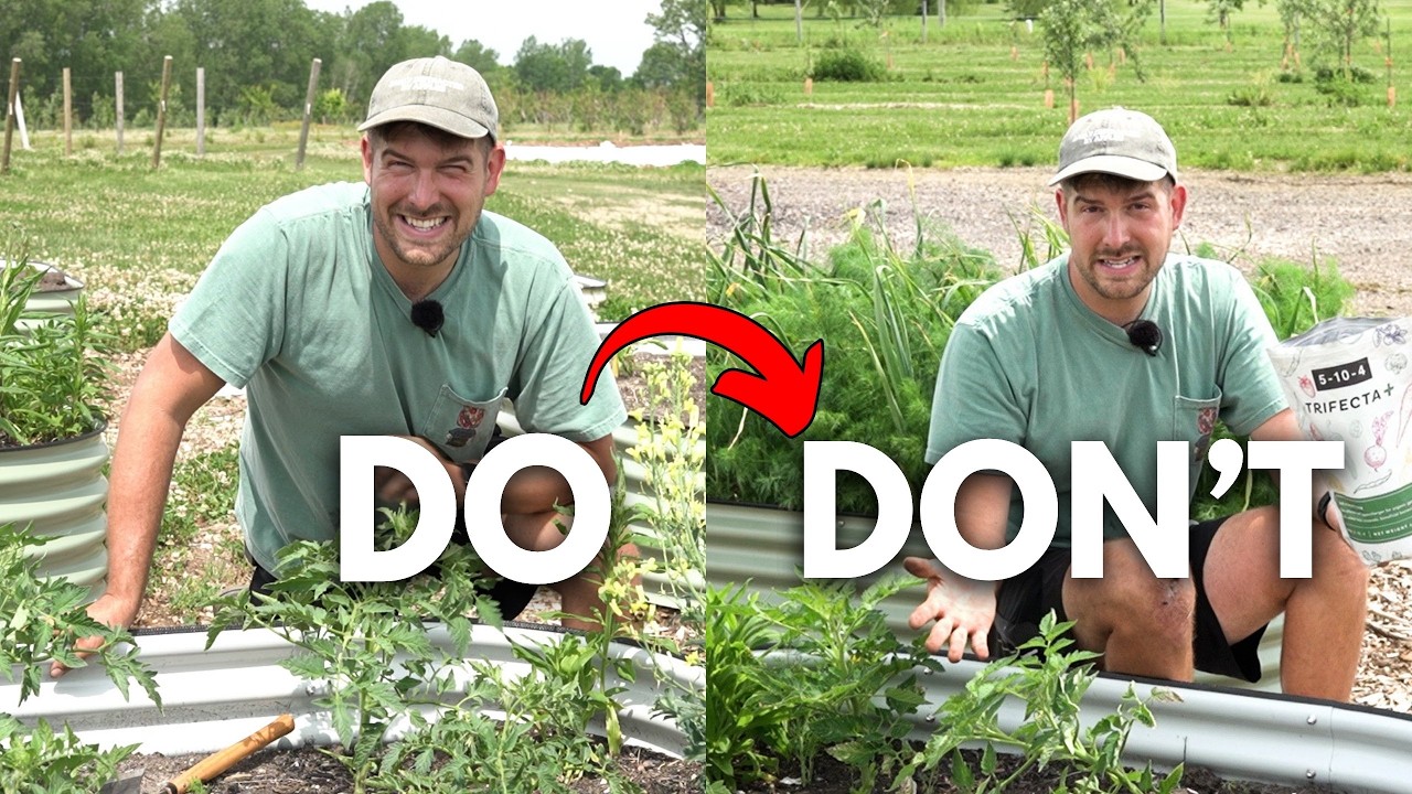 Fertilize Like THIS To Maximize Your Garden and Grow Better!
