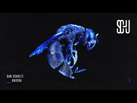 Dan Schultz - Hadeda [SCHU01]