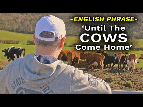 I will teach English 'Until the cows come home' この英語のフレーズの意味は？#ダンカンイングリッシュ (I will teach English  'Until the cows come home'  What does this English phrase mean? #duncanenglish)