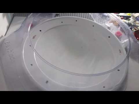 Beyblade Burst: Victory Valkyrie vs Wyvern Armed Massave