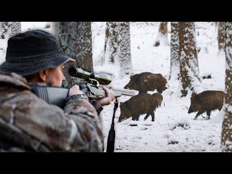 Hunting Serbia - Wild boar hunting - Lov u lovištu Stara planina - Lov divlje svinje, jelena,srndaća
