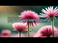 Par Tous Les Saints Glorifié Instrumental Piano