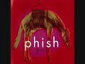 Phish - Dog Faced Boy