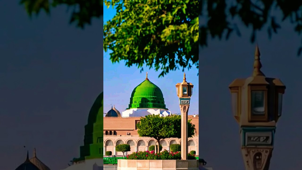 I Love Madina 🥹🤲 #song #alahazratkalambyowaisrazaqadri #love #beautiful #foryou #duet #unfrez #music