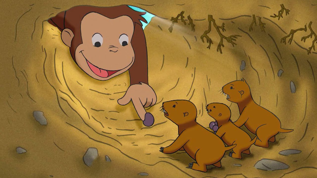 Quais Animais Vivem Debaixo da Terra? 🐵 George, o Curioso 🐵 Desenhos Animados