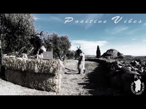 FJK - The Very Best Of #positive vibes (#Djset Deep House/ Melodic Techno)