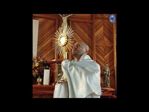 Pustelnia 30.12.2021 - Kazanie o. Daniela - Kto wypełnia wolę Bożą ten trwa na wieki w Bogu (Anna).