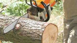 preview picture of video 'Bulldog Tree & Stump Removal    New Fairfield CT'
