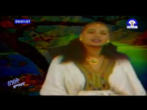 Ngisti Hayelom - Selam - Best Tigriyna music | ethiopian best tigrigna music
