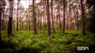 Somebody&#39;s Son - Demure (Original Mix)