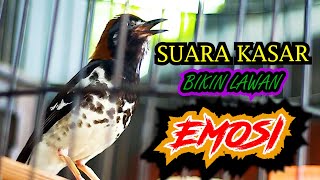 Download lagu ANIS KEMBANG NGEPLONG SUARA KASAR, PANCINGAN ANIS KEMBANG BIKIN LAWAN LANGSUNG EMOSI CEPAT BUNYI mp3