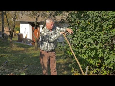 Mélymulcs Újratöltve - Ember és környezetkímélő kertművelés 2