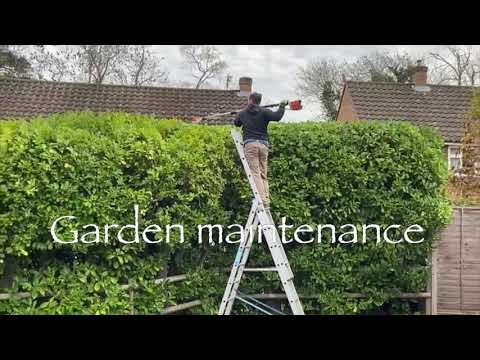Tom's Garden care video.