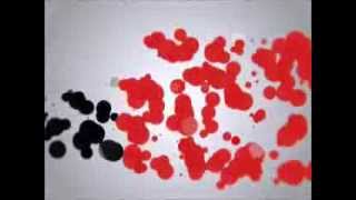 I'm Afraid the Masquerade is Over