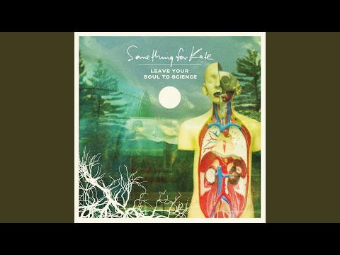 Deep Sea Divers - Something for Kate