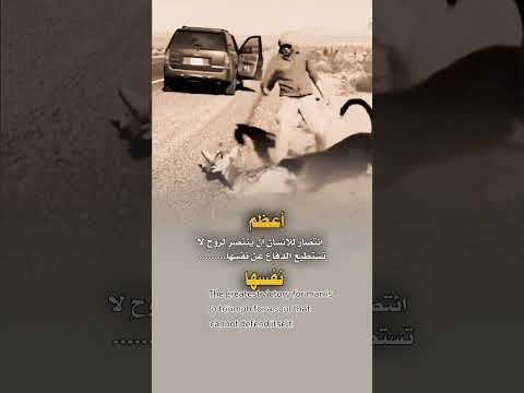 كن رحيمًا... فكل روحٍ تستحق!🙄 #comedy #viral #shorts