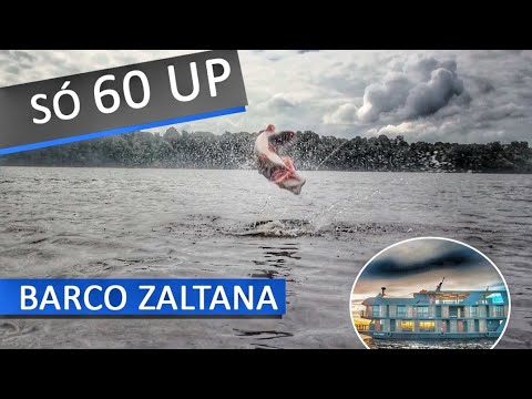 download lagu mp3 mp4 Zaltana, download lagu Zaltana gratis, unduh video klip Zaltana