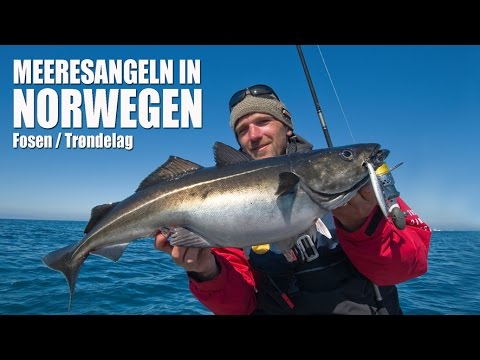 Angeln in Norwegen – Trøndelag / Mittelnorwegen
