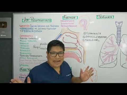 ✅ APARATO RESPIRATORIO