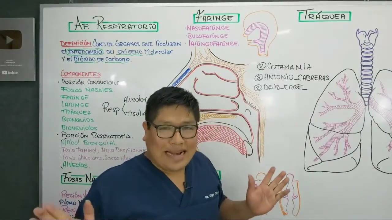 ✅ APARATO RESPIRATORIO