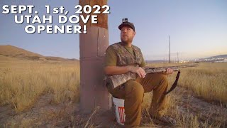 Opening Day Utah Public Land Dove Hunt Success!!! 2022 Opener!