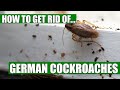 How To Get Rid Of German Cockroaches Guaranteed 4 Easy Steps How To Get Rid Of German Cockroaches Guaranteed 4 Easy Steps