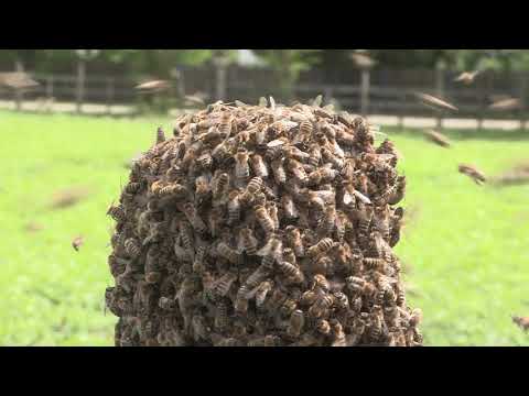 Boja meda ep. 96 07.01.2020. NAJAVA