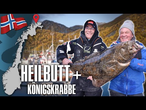 Horst in Action / Abenteuer Nordnorwegen 🇳🇴