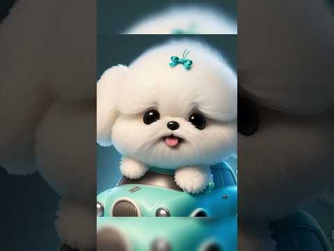 Cute puppies 🐶 #shortsfeed #viralvideos #ytshorts #viral