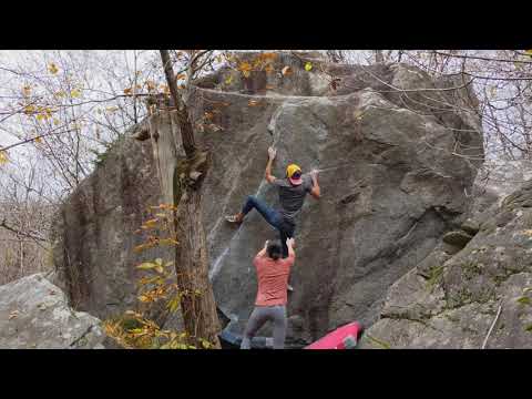Chironico: Selection Door (7A) [Ankur]