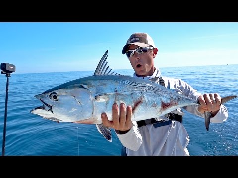 Most Epic Bonito Blitz Ever! ft. LakeForkGuy