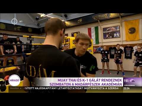 M1 Sporthírek – 2019.05.31. – Artur Kyshenko szeminárium, Superfight Series Hungary