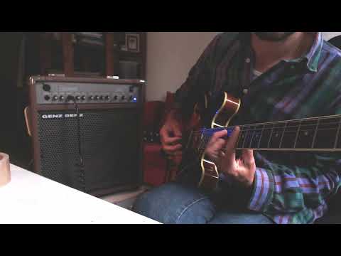 2000s Genz Benz Shenandoah JR acoustic/electric amplifier image 5