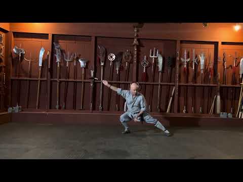 Shaolin wu bu quan / five stance fist