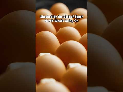 Shocked By the Cost of Eggs? Here's What's Going On