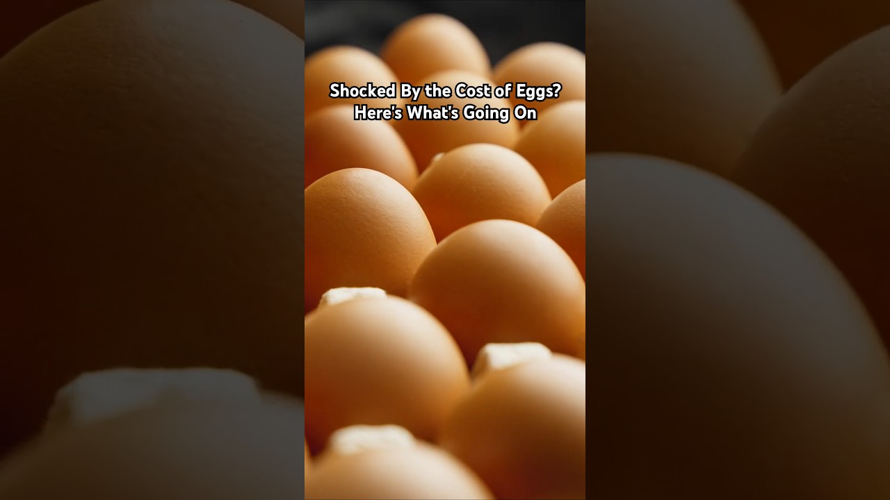 Shocked By the Cost of Eggs? Here's What's Going On