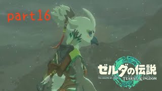 【ティアーズオブザキングダム】〜仲間と協力する大切さ〜美空の実況#16