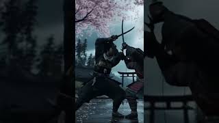 Samurais Lutando