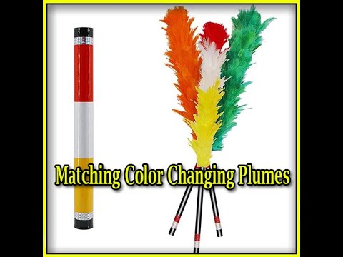 Voir la vidéo Matching Color Changing Plumes