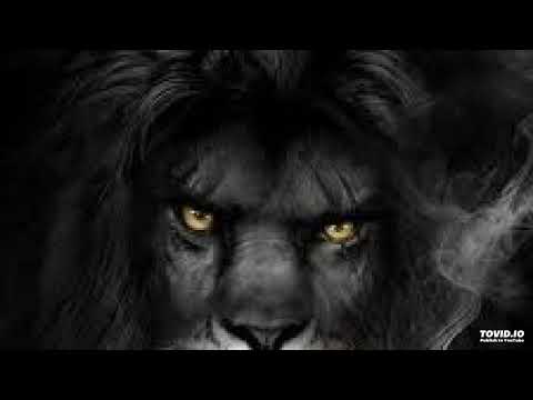 Ethan Mac - Beast Freestyle