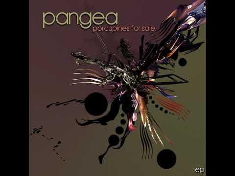 03 Pangea - Porcupines for Sale
