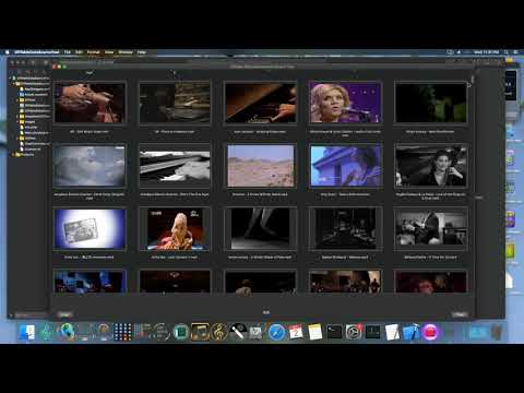 MacOS Swift Diffable NSCollectionView Test