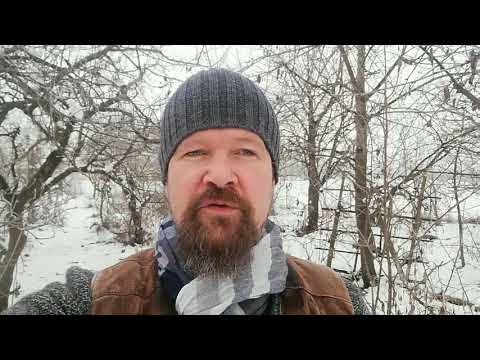 Buchprojekt "unser essbarer Waldgarten"