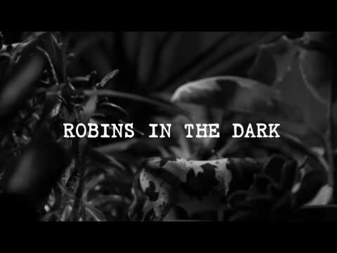 COPY007 - Breger - Robins In The Dark (Video Cut)