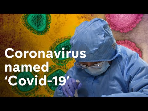 冠狀病毒死亡人數突破1000人 正式命名為 "Covid-19 (Coronavirus death toll passes 1,000... and it's officially named ‘Covid-19’)